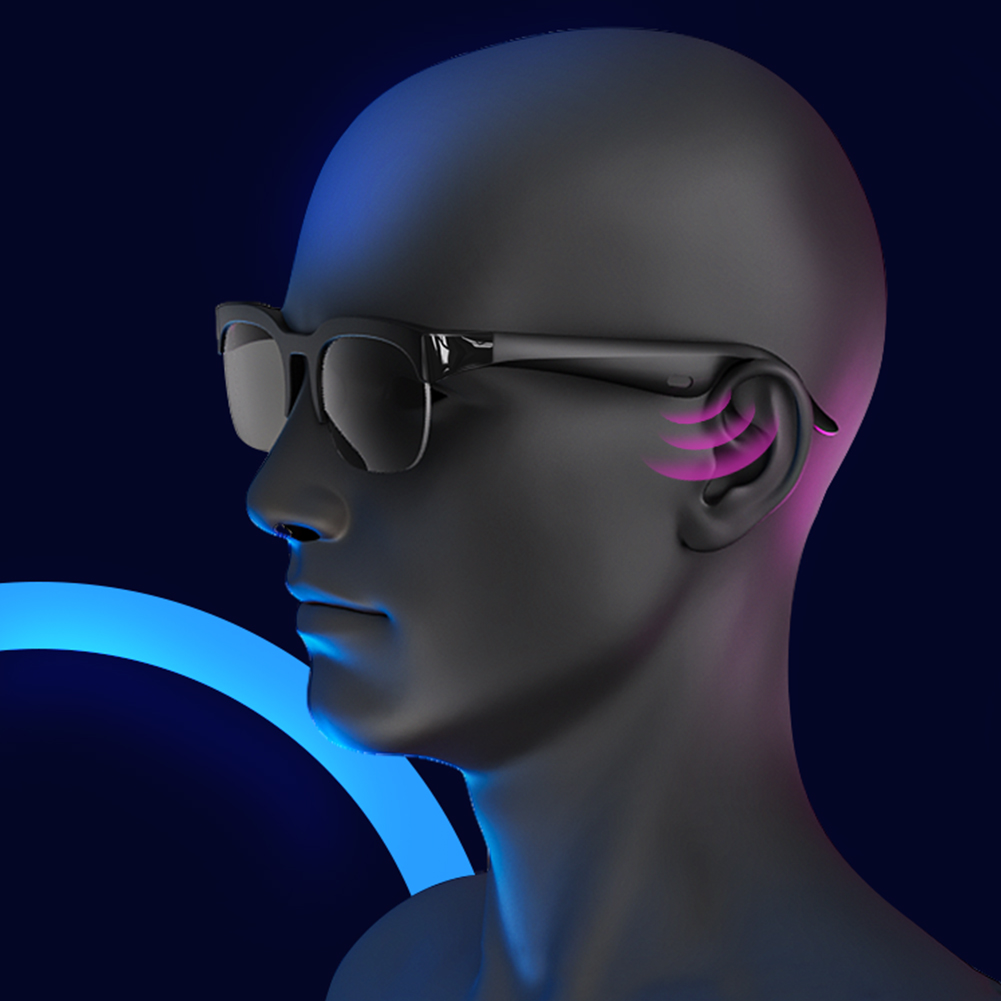 BT Sunglasses AI Translator Ha - Audio Music Ai のレビューと価格