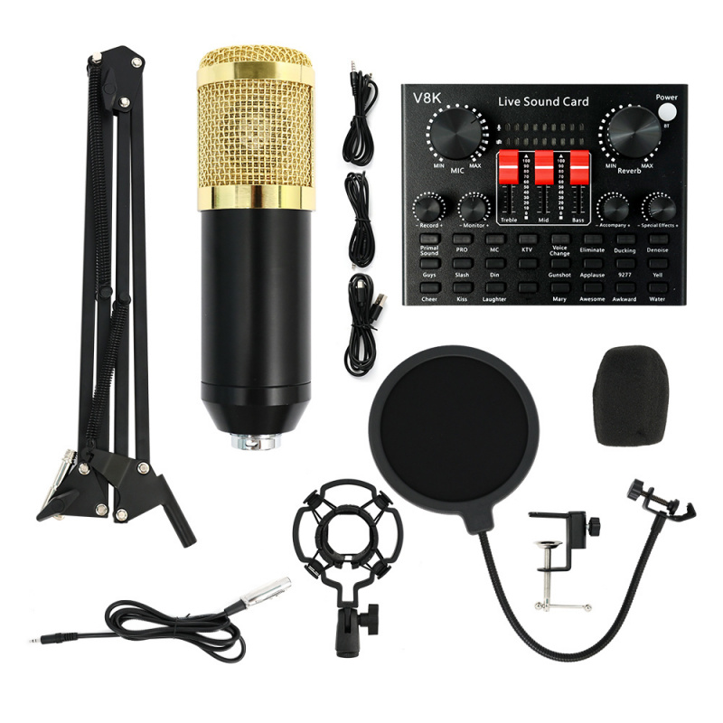 BM800 Condenser Microphone Pod - Audio Music Grading のレビューと価格